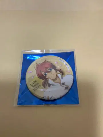 테일즈 오브 어비스 캔뱃지 30주년 루크