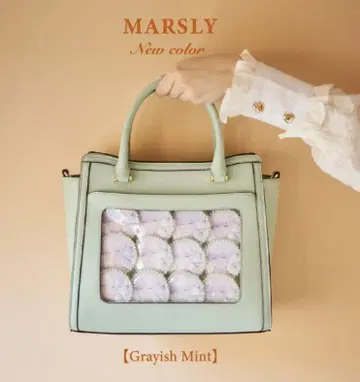 [ 추적 익명 ] MARSLY 플랩 백 민트