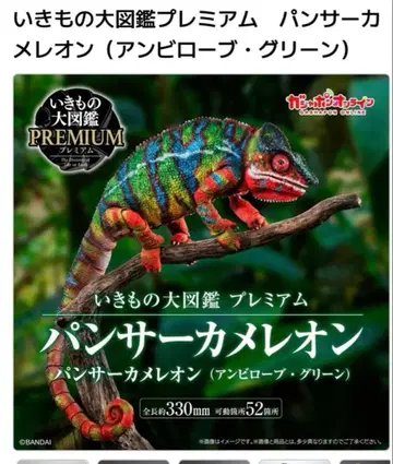 생물대도감 프리미엄 팬서 카멜레온 앰비로브 그린