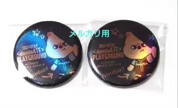 straykids PLAYGROUND 홀로그램 캔뱃지 한 한쿼카