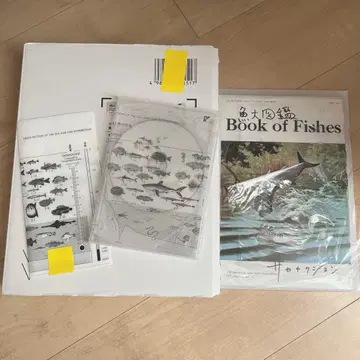 어류 도감 프리미엄 BOX + 잡지 2권 포함