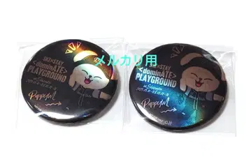 straykids PLAYGROUND 홀로그램 캔뱃지 퍼핌 승민