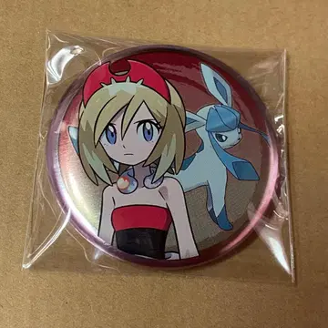 포켓몬 캔뱃지 카이