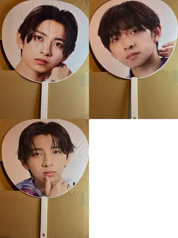 ICEx 타케노 세나 부채 3개