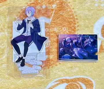 프로세카 카미시로 루이 묶음 판매