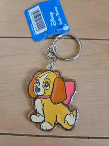 디즈니 리조트 스위트 프렌즈 아크릴 키체인 레이디