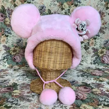 디즈니 미니 팬캡