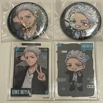 WIND BREAKER 윈드브레이커 윈브레 Y2K 스타일 우메미야