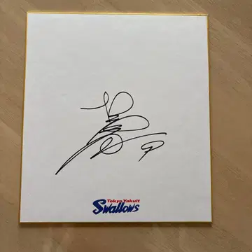 도쿄 야쿠르트 스왈로스 시오미 야스타카 친필 사인 색지