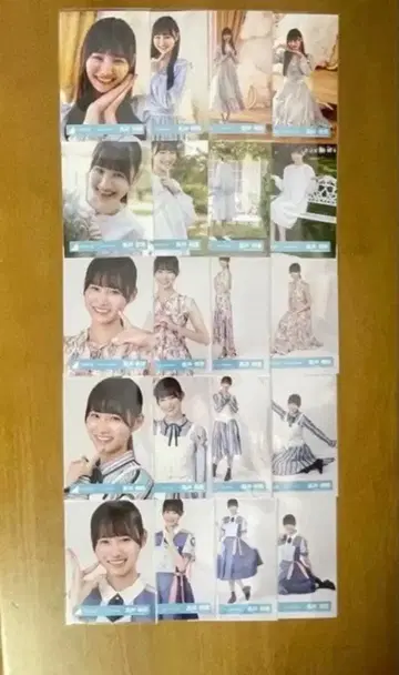 히나타자카46 타카이 리카 브로마이드 신참자 20종 컴프