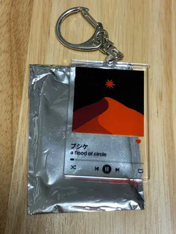 a flood of circle now playing 키링 푸시케