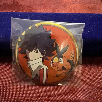 포켓몬 캔뱃지 컬렉션 이쉬 휴&포카브