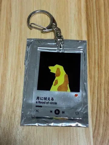 a flood of circle nowplaying 키링 월에 우는