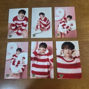 아카시 리쿠 버스데이 이벤트 미니 브로마이드 빨간색 의상 6점