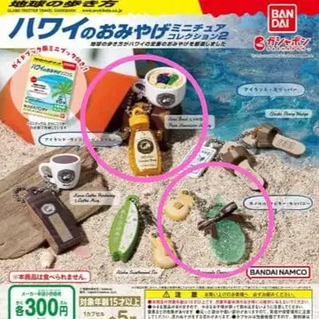 지구의 산책법 하와이 기념품 미니어처 컬렉션 호놀룰루 쿠키 가챠