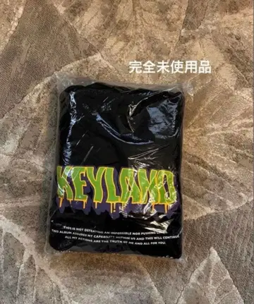 [ 연내 판매 종료 ] KEYLAND 후드티 후디 SHNee key