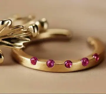 아가트 K10 루비 이어커프 미사용