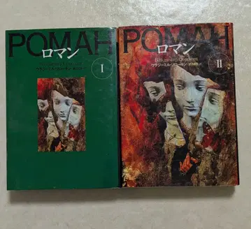 로만 12 블라디미르 소로킨 로만 초판 국서간행회 문학의 모험