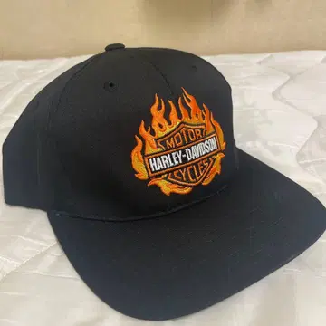 Harley-Davidson 캡3