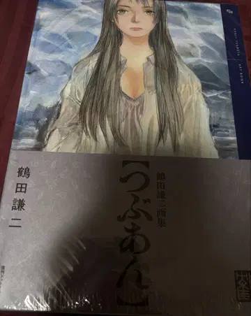 츠루타 켄지 화집 츠부앙