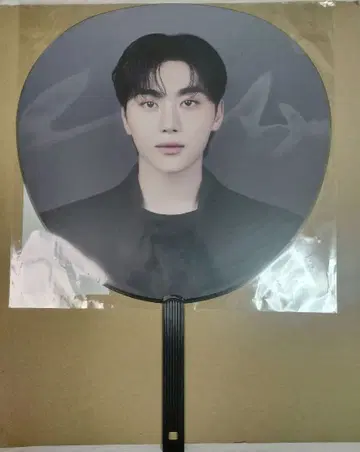 SEVENTEEN NEW 승관 부채