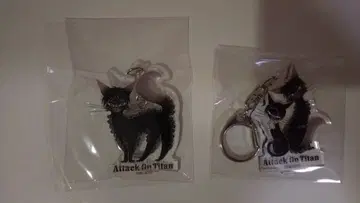 [ 진격의 거인 ] 블랙 고양이 디자인 아크릴 키링 3