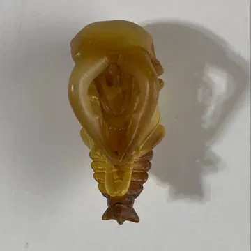 카이요도 캡슐Q 뮤지엄 일본 사슴벌레 대전 넓적사슴벌레 번데기