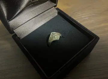 다크 소울 총애의 반지 TORCHTORCH