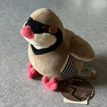 카케가와 화조원 버드 스태프 감수 이와샤코 봉제 인형