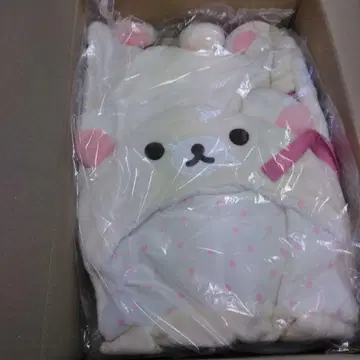 펠리시모 코리락쿠마 고양이 한텐