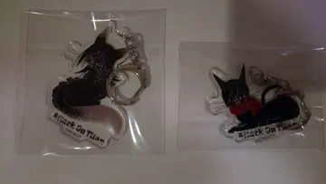 [진격의 거인] 블랙 고양이 디자인 아크릴 키링 4