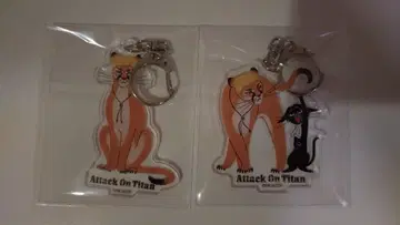 [ 진격의 거인 ] 블랙 고양이 디자인 아크릴 키링 2