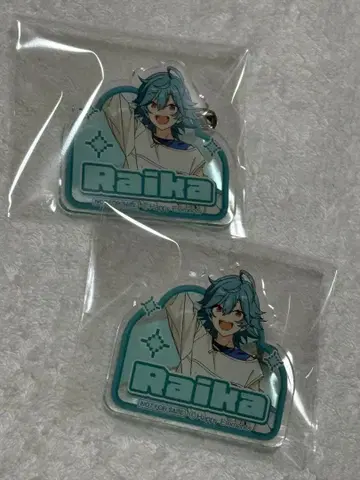 앙스타 라이카 호죠 라이카 빅 에코 아크릴 배지