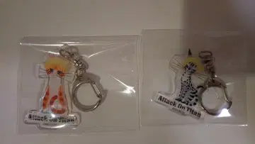 [진격의 거인] 블랙 고양이 디자인 아크릴 키링 5