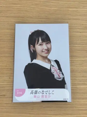 타카네노 나데시코 히가시야마 에리사 브로마이드 안티팬