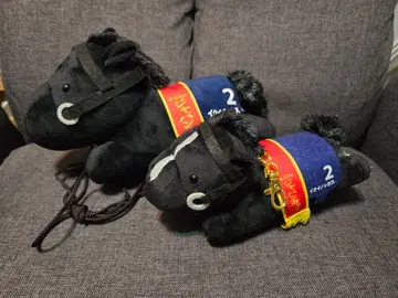 이퀴녹스 릴 패스 케이스 포함 봉제 인형 + 봉제 인형 스마트폰 숄더 3