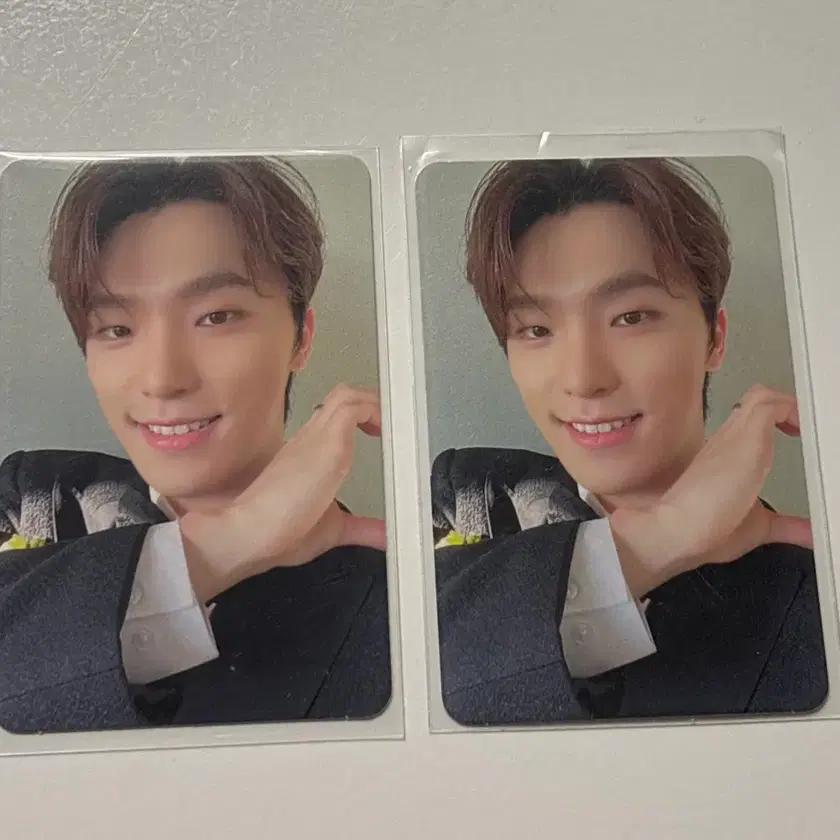 Seventeen dino poca | Bunjang Global