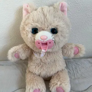 안아줘 넬른 베이지 고양이