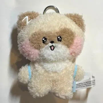 하니니 hanini 메시지 키링 제베원 ZB1 제로니 장하오