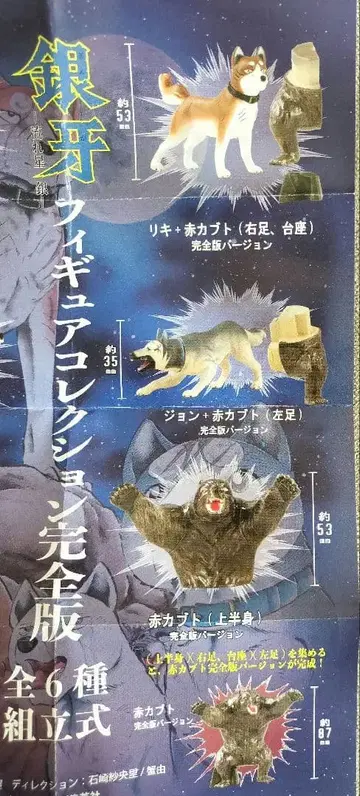 완전판 컬러 3개 세트 은아 별똥별 은 피규어 컬렉션 박스판