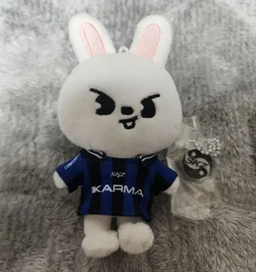 Stray kids KARMA Skzoo Ver. 리빗