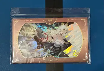 명조 공명자 시리즈 공명 해방 아크릴 색지 잔니