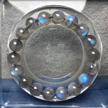 블루 실러 래브라도 라이트 팔찌 12-121