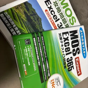 MOS Excel 365 문제집 대책 텍스트