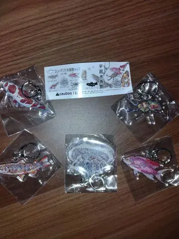 신 마리호 수족관 평면 수족관 5종 namiko