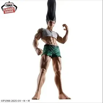 헌터헌터 곤 피규어