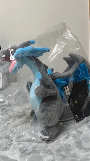 [ 배송비 포함 ] 메가 리자몽 X 1번 복권 A상