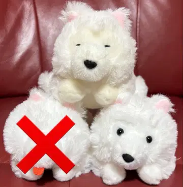 축 늘어진 사모예드 군 누워있는 봉제 인형 마스코트 ST 사이즈 2점