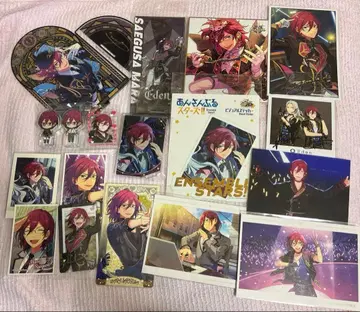 앙스타 사에구사 이바라 묶음 판매