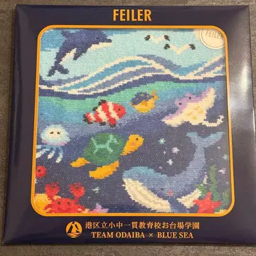 페이 x 오다이바 학원